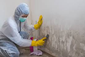 Best Environmental Consulting for Mold Prevention in Laurel, VA